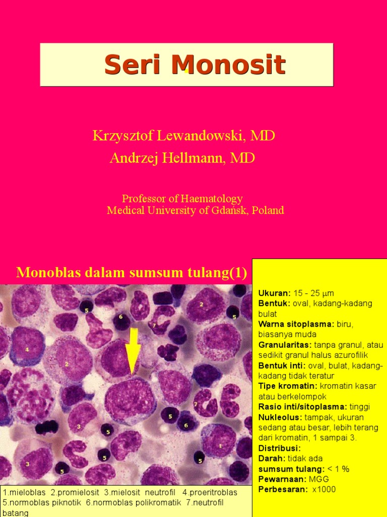 Morfologi dan Ciri Monosit dalam Darah | PDF