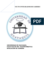 Pautas para Elaboracion Proyecto PIS