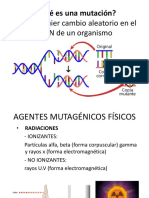 Qué Es Una Mutación