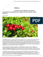GLOBO RURAL - Notícias Sobre Agronegócios, Agricultura, Pecuária, Meio Ambiente e o Mundo Do Campo - EDT MATERIA IMPRIMIR - Cranberry Terapêutica
