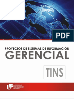 Proyectos de Sistemas de Informacion Gerencial