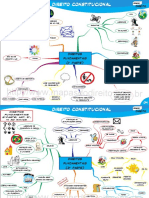 Direito Constitucional - direitos Fundamentais.pdf