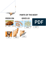 Parts of the Body and Animals