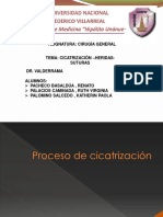 Sem .Cicatrizacion Heridas Suturas