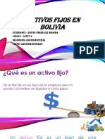 Activos Fijos en Bolivia-Costos Agroindustriales