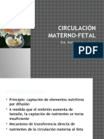 20110402_circulaci__n_materno_fetal.pptx