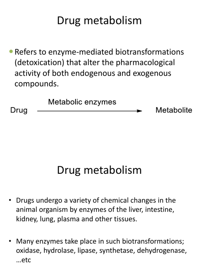 Phase 1 Drug Metabolism Overview | PDF | Drug Metabolism | Cytochrome P450