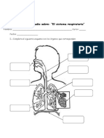 Guía de Trabajo Sistema Respiratorio