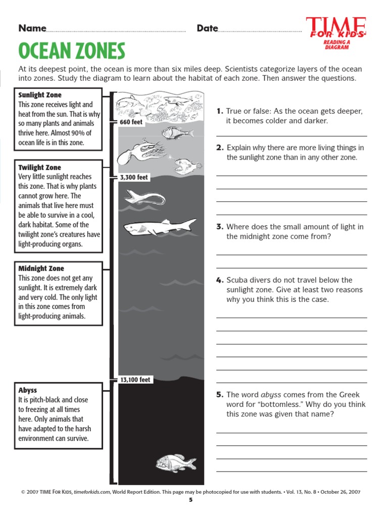 Ocean Zones | PDF | Oceans | Habitat