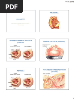 Prolapsos.pdf