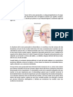 Comunicacion Bucosinusal