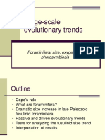 Large Scale Evolutionary Trends