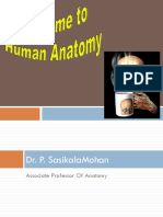 Introduction and Subdivisions