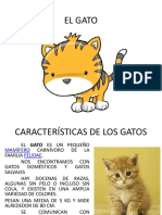 El Gato