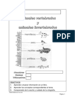 Animales Vertebrados e Invertebrados PDF