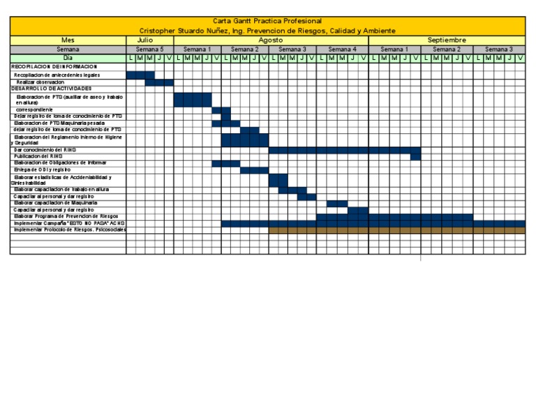 Carta Gantt Prevencion De Riesgos Xls  Soalan ac