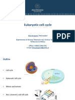 Exe III-cell Cycle (1)