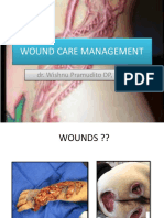 Wound Care Management: Dr. Wishnu Pramudito DP, SP.B