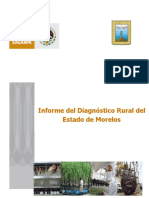 Diagnostico - Rural - MORELOS PDF