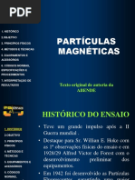 partícula magnética