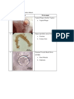 Hasil Koleksi Embrio PDF