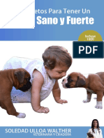 10SecretosBoxer.pdf