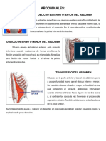 Abdominal Es