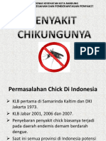 Sosialisasi Chikungunya EDIT