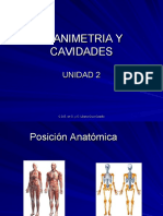 Planimetria y Cavidades en Odontología