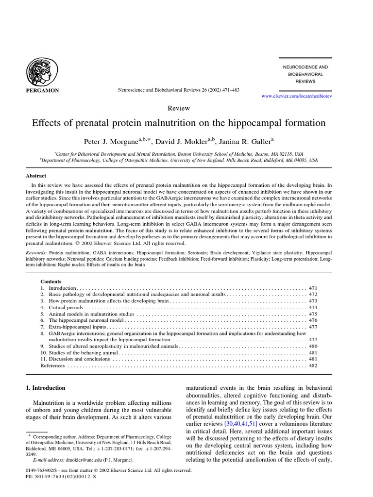 Prenatal Protein Malnutrition Effects | PDF | Hippocampus | Inhibitory ...