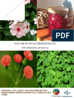 guia-de-plantas-medicinais-na-fitoterapia.pdf