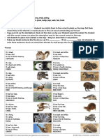 Animal World Map Activities