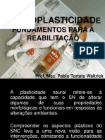 6053780-Neuroplasticidade-Fundamentos-Para-a-ReabilitaCAo.ppt