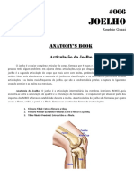006-articulacao-do-joelho.pdf