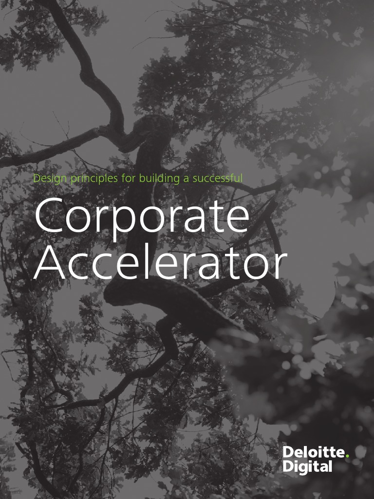 Corporate Accelerator en | PDF | Startup Company | Small Business ...