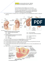 Roteiro Prova Prática de Renal - Flávio e Ian