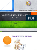 Incontinenciaurinariayfecal 140625214403 Phpapp02