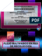 FMT Red Recoleccion Eq#8