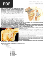 Aula 2 - Revisão Da Propedêutica Da Mama