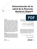 Determinantes de La Salud de La Fluorosís Dental en Nayarit