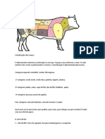 Classificação e cortes de carne bovina