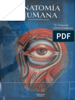 Tratado Anatomia Humana Tomo2 PDF