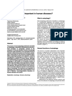 Why Is Autophagy Important in Human Diseases?