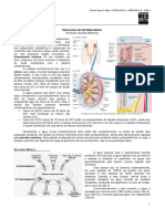 MED RESUMOS - Fisiologia Renal PDF