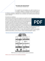 Farmacoterapia PDF