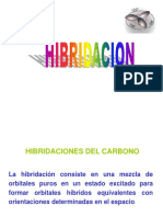 Hibridacion