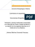 Herbolaria y Plantas Medicinales en El Mercado de Chalco, Estado de México.