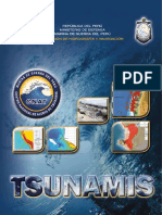 revista_tsunami2014