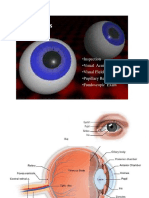 Inspection - Visual Acuity - Visual Fields - Pupillary Response - Fundoscopic Exam