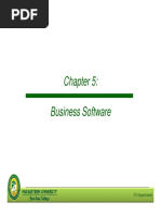 Chapter 5 - Business Software